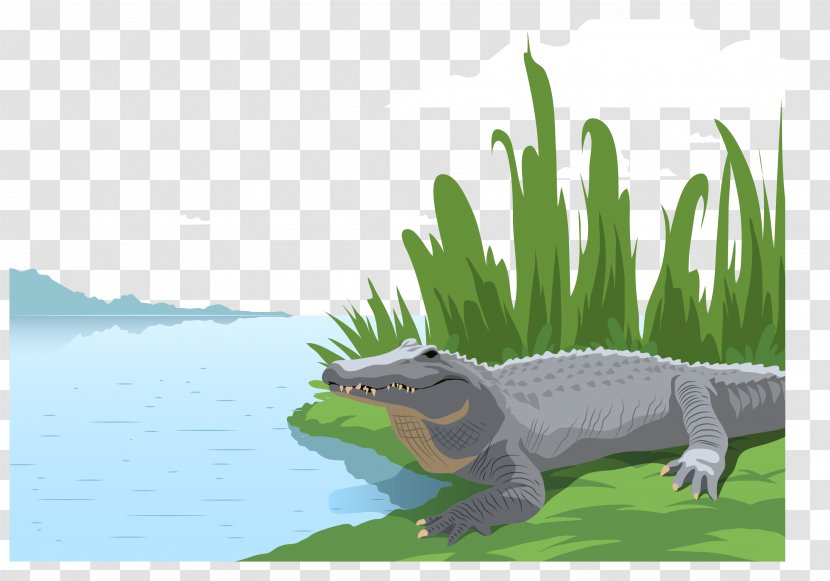 Alligator Crocodile Illustration - Drawing - Vector A Small Transparent PNG