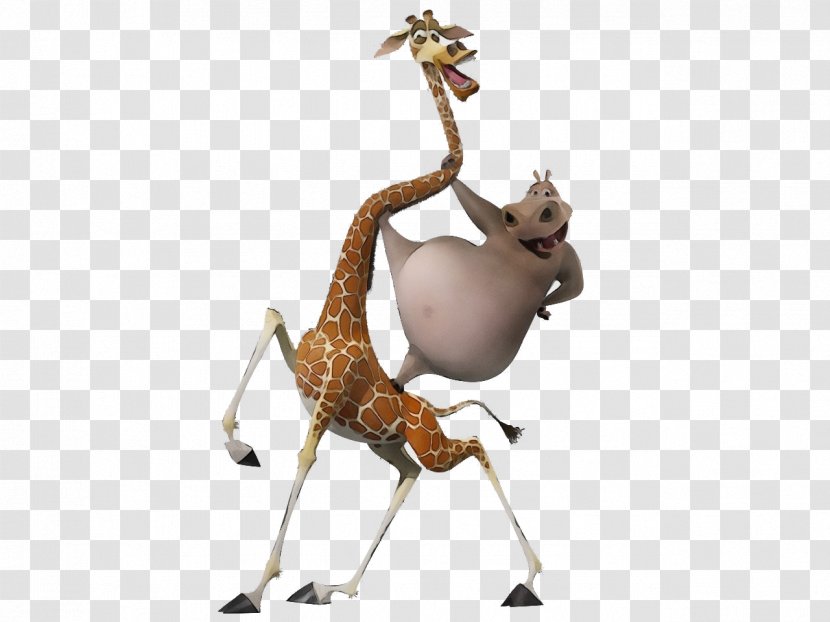 Giraffe Cartoon - Toy - Antelope Tail Transparent PNG