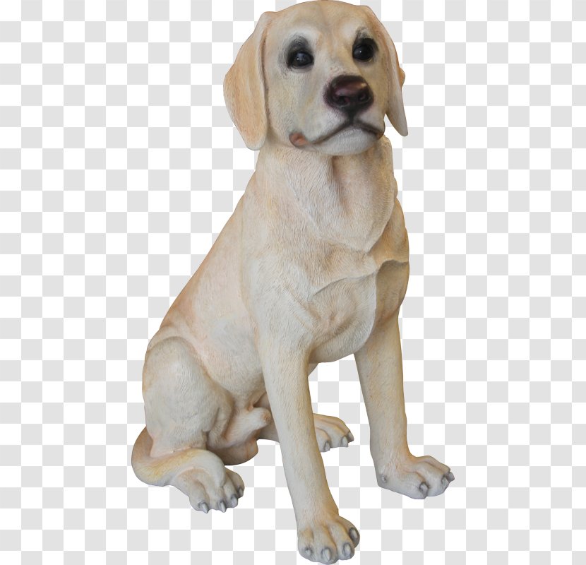 Labrador Retriever Dog Breed Puppy Companion - College Transparent PNG