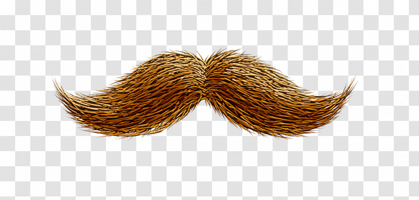 Moustache Transparent PNG