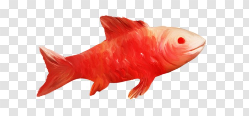 Goldfish Fauna - Fish Transparent PNG