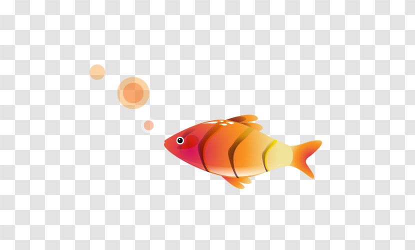 Illustration - Orange - Bubbling Red Fish Picture Transparent PNG
