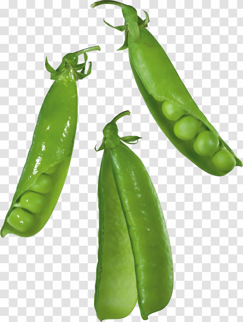 Food Snap Pea Vegetable Lima Bean Legume - Serrano Pepper Transparent PNG
