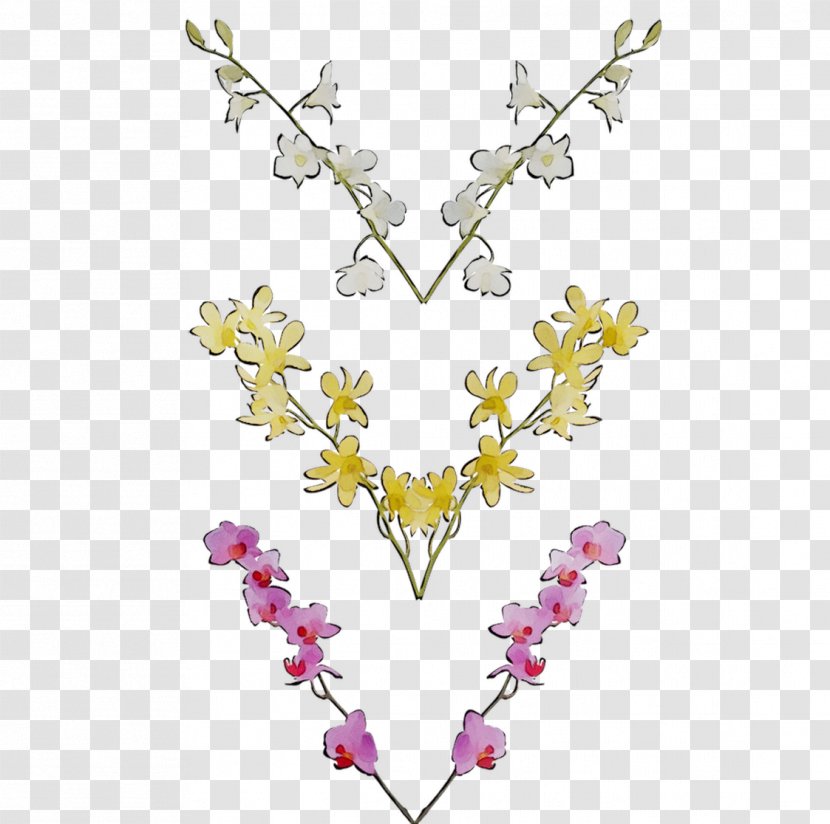 Dendrobium Orchids Clip Art Cooktown Orchid - Jewellery Transparent PNG