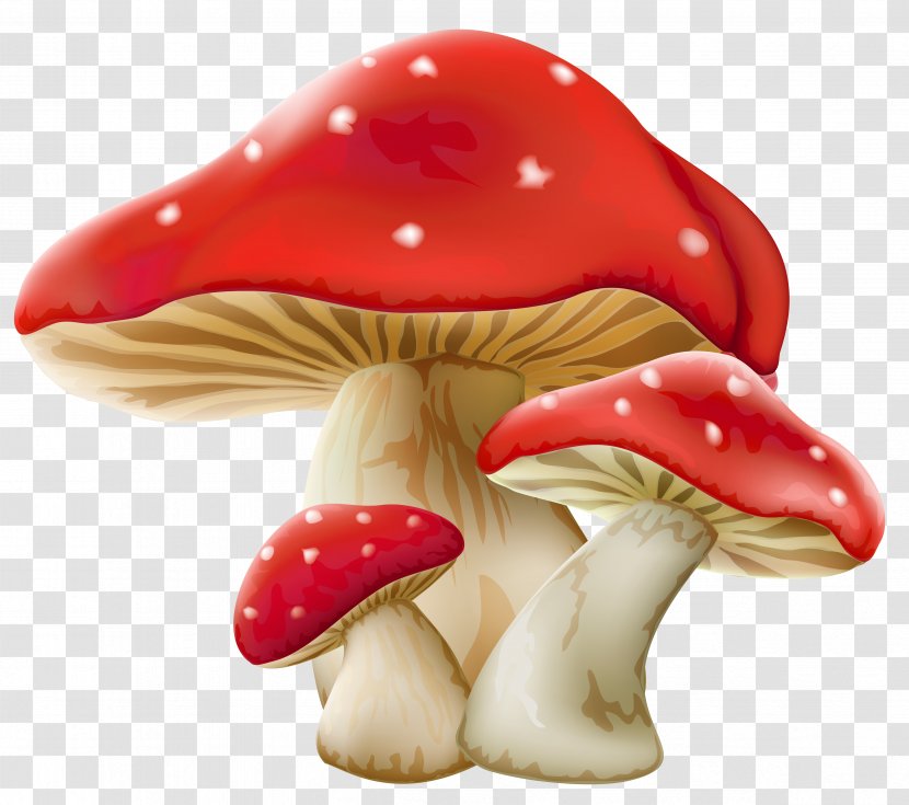 Mushroom Fungus Clip Art - Edible Transparent PNG