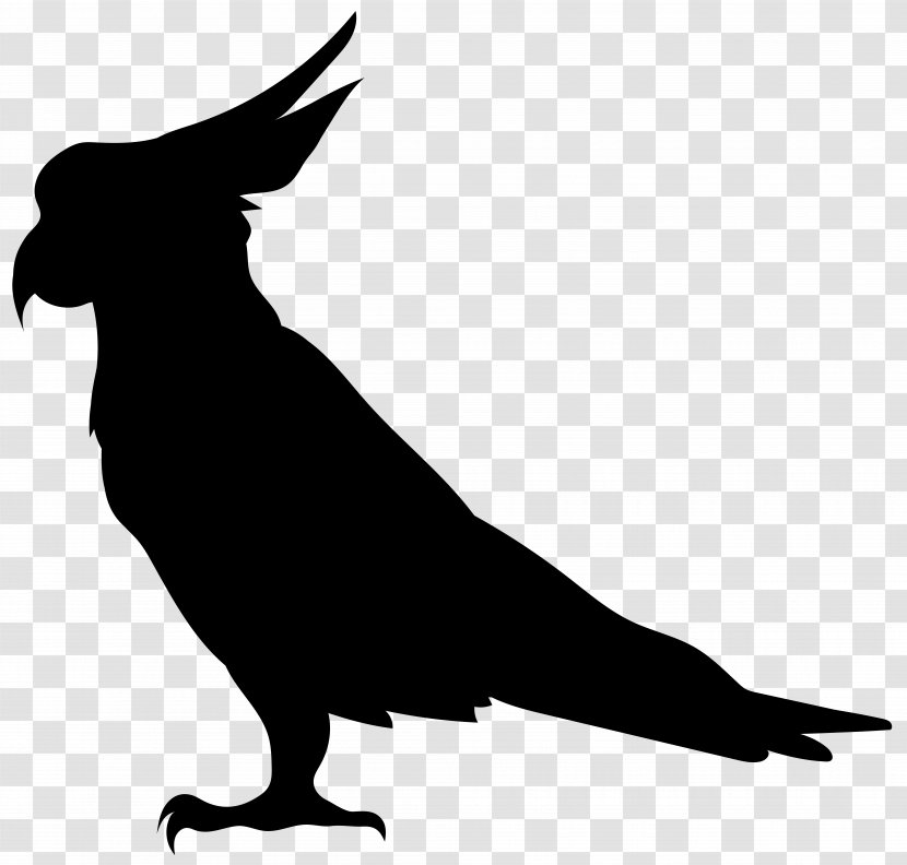 Bird Silhouette Illustration - Royalty Free - Parrot Transparent Clip Art Image Transparent PNG