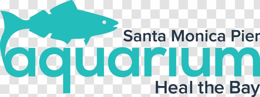 Santa Monica Pier Aquarium Cabrillo Marine Bay Public - Conservation Transparent PNG