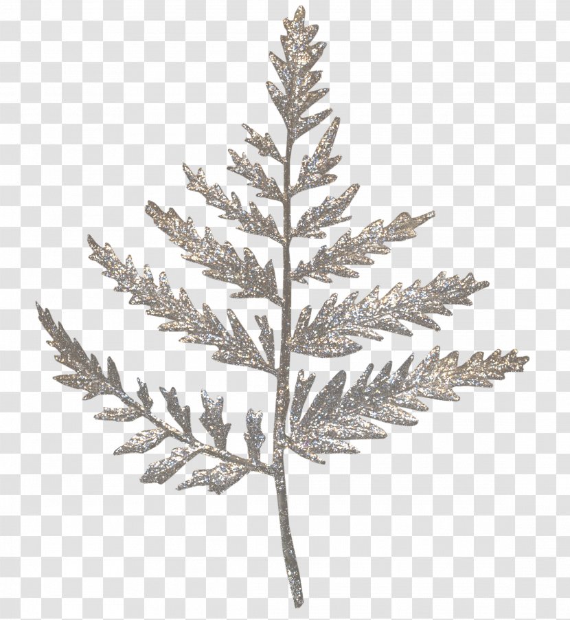 Spruce Leaf Clip Art - Christmas Decoration Transparent PNG