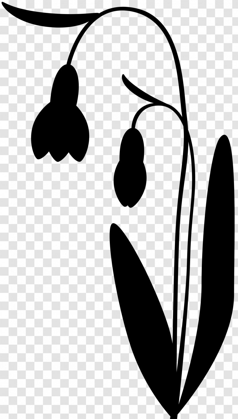 Black & White - M - Clip Art Leaf Line Transparent PNG