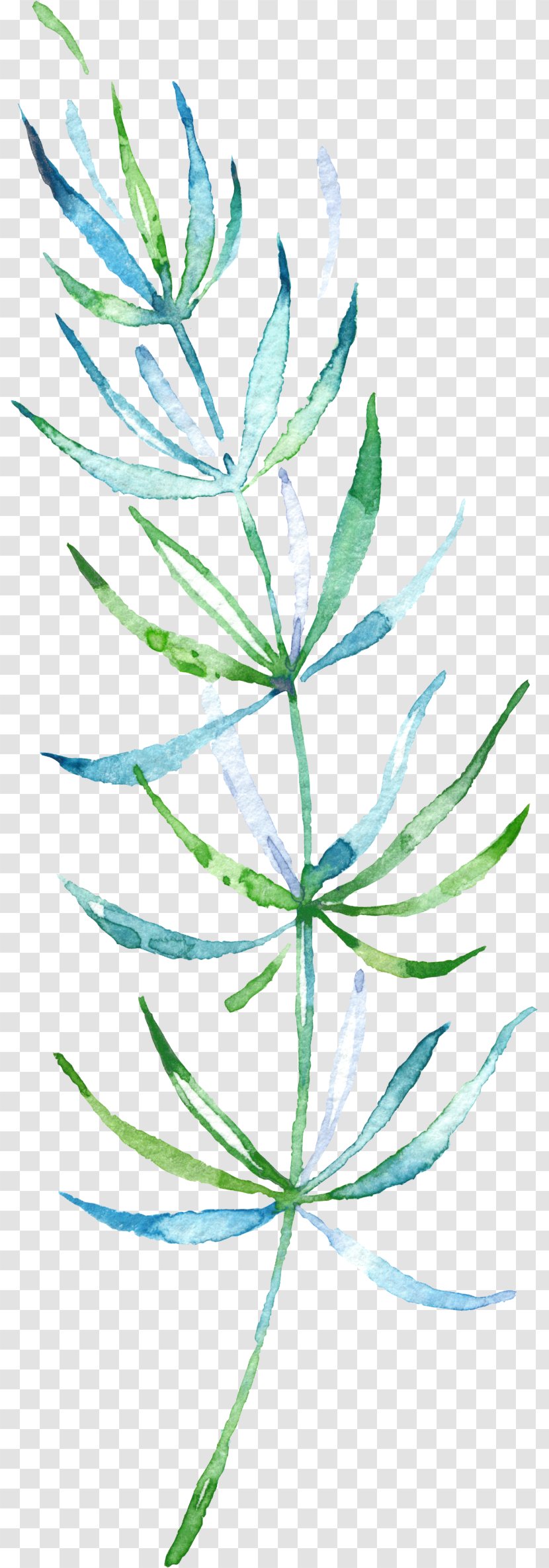 Watercolor Painting Leaf Download - Drawing Plant Transparent PNG