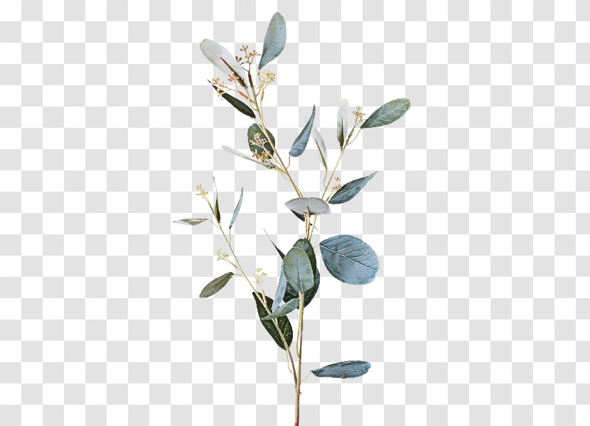 Flower Plant Branch Leaf Twig Transparent PNG