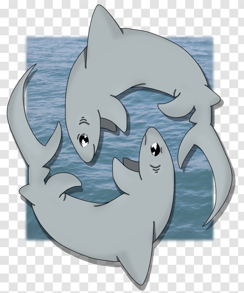 Cat Requiem Sharks Dolphin Dog - Vertebrate - Q Version Of The Shark Transparent PNG