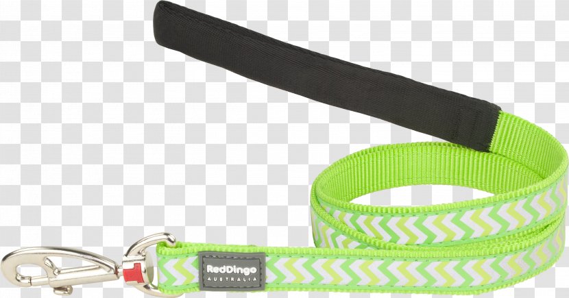 Cat Dingo Pet Leash Maltese Dog - Shop - Citron Vert Transparent PNG