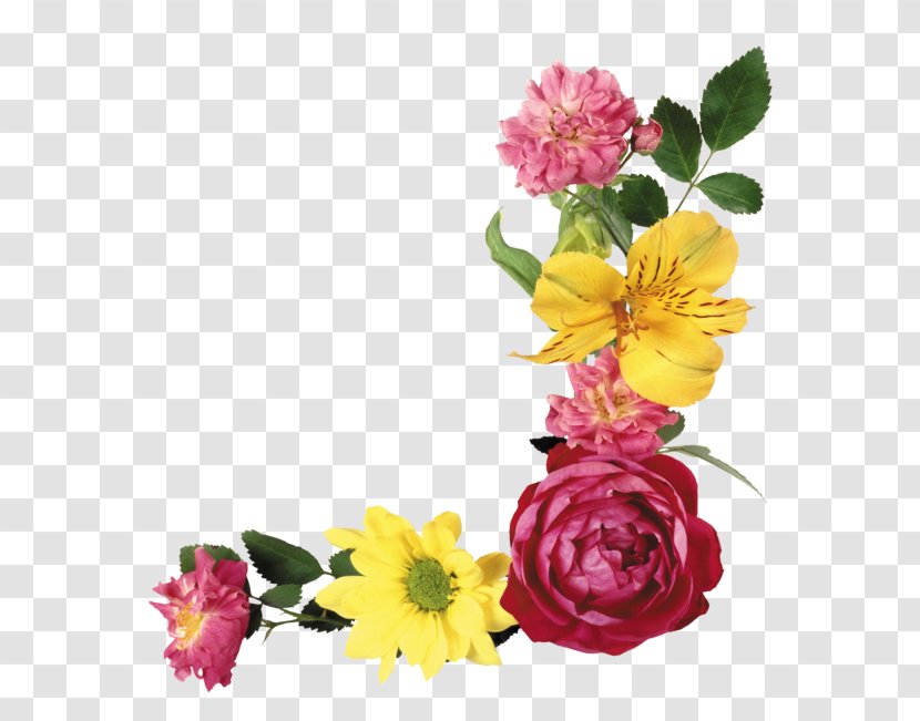 Garden Roses Cut Flowers Floral Design - Flor Tropical Transparent PNG