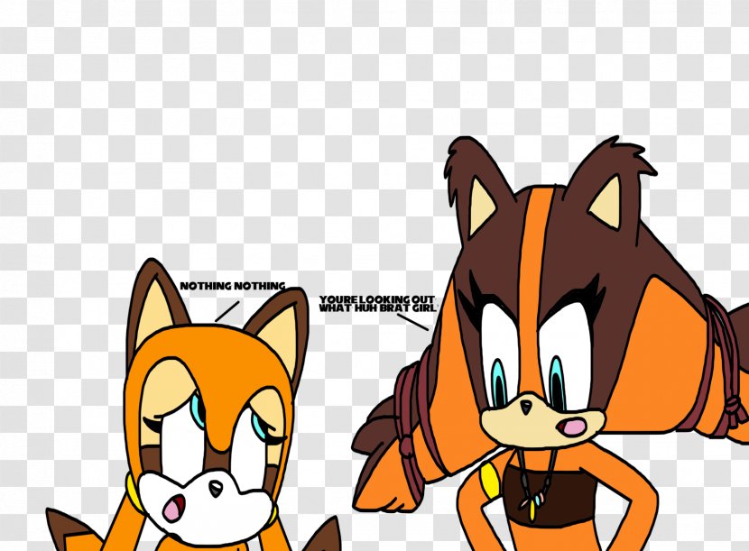 Sticks The Badger Cat Sonic Hedgehog Tails - Raccoon Transparent PNG