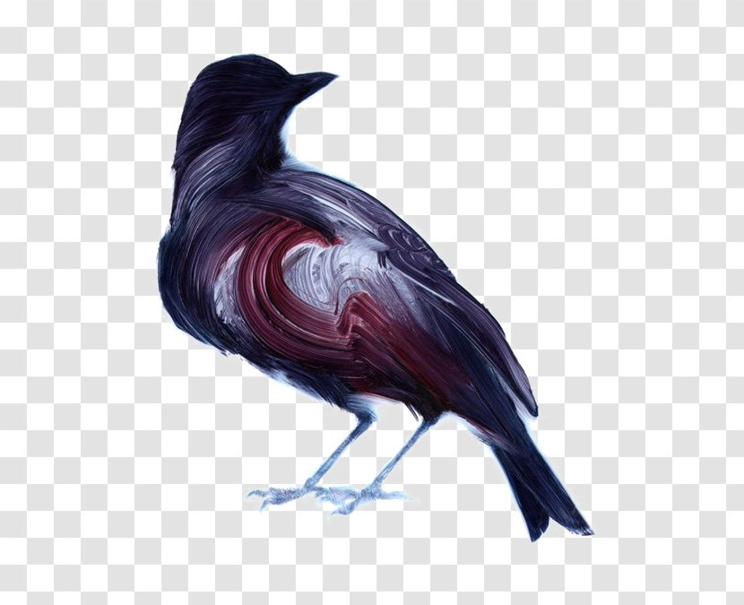 Bird Painting Artist Illustrator Illustration - Beak - Cartoon Crow Transparent PNG