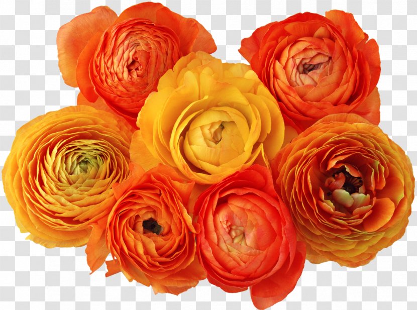 Flower Digital Image Clip Art - Artificial - Orange Flowers Transparent PNG