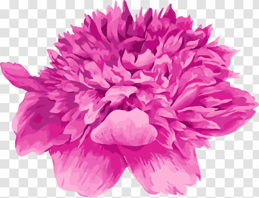 Floral Design Moutan Peony Watercolor Painting - Cartoon Hand Painted Purple Flower Transparent PNG