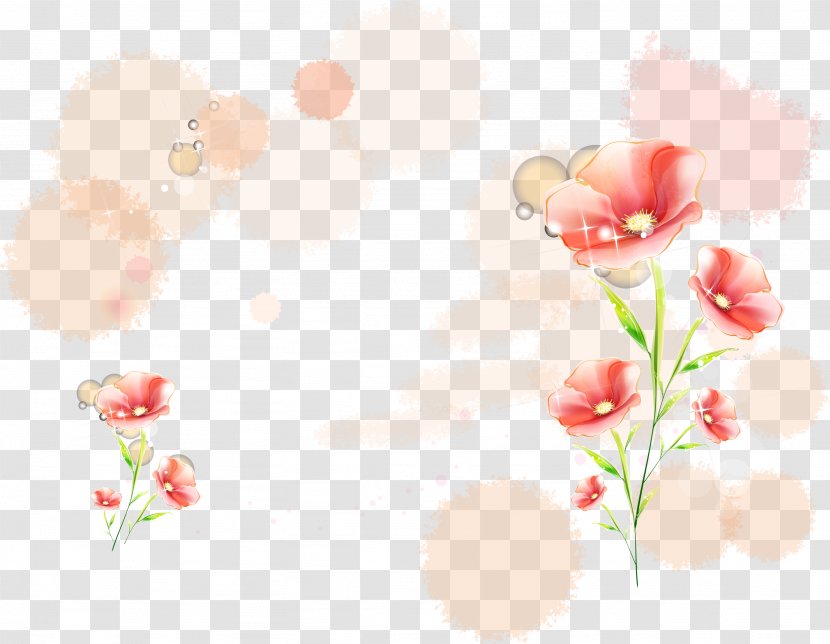 JPEG Image File Format Desktop Wallpaper - Web Banner - Blossoms Frame Transparent PNG