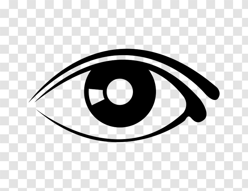 Look At Eyes Googly Clip Art - Frame - Eye Transparent PNG