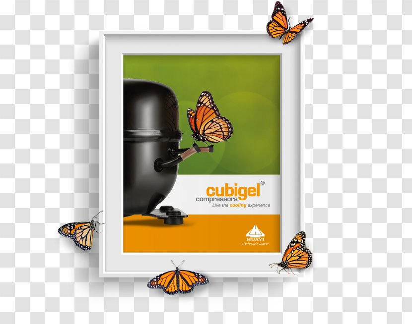 Product Design Technology Font - Butterfly Transparent PNG