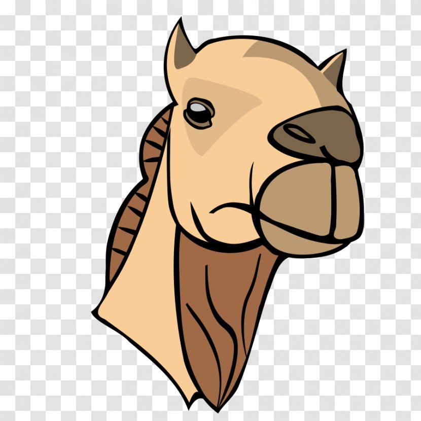 Bactrian Camel Dromedary Face Clip Art - Dog Like Mammal Transparent PNG