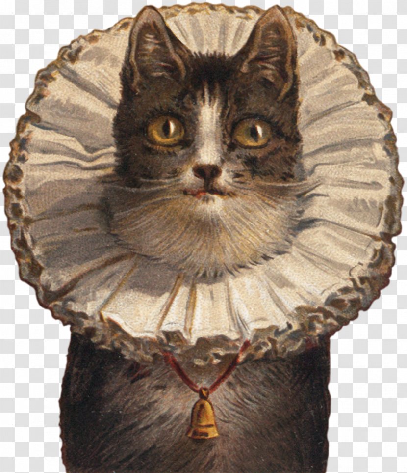 Cat Post Cards Collar Felidae IPhone X - Snout Transparent PNG