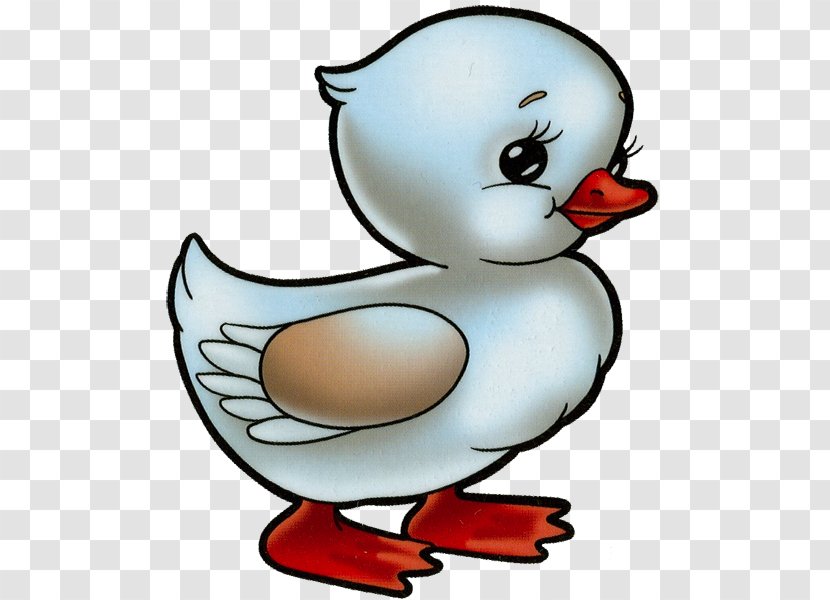 Duck Clip Art Swans Image Drawing - Truco Cartoon Transparent PNG