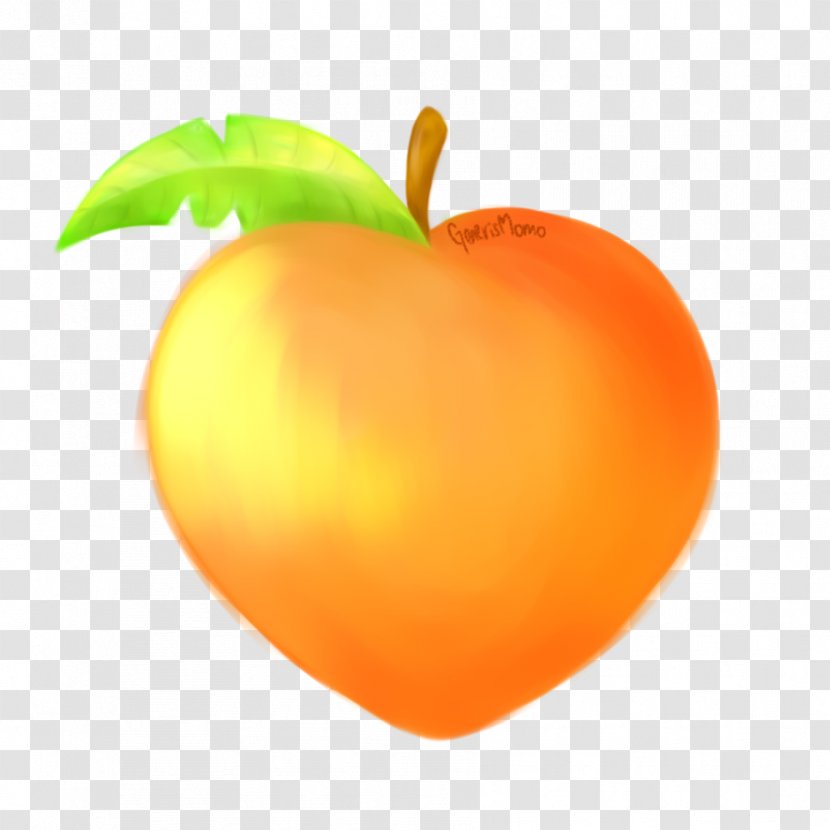 Artist Food Peach Work Of Art - Durazno Transparent PNG