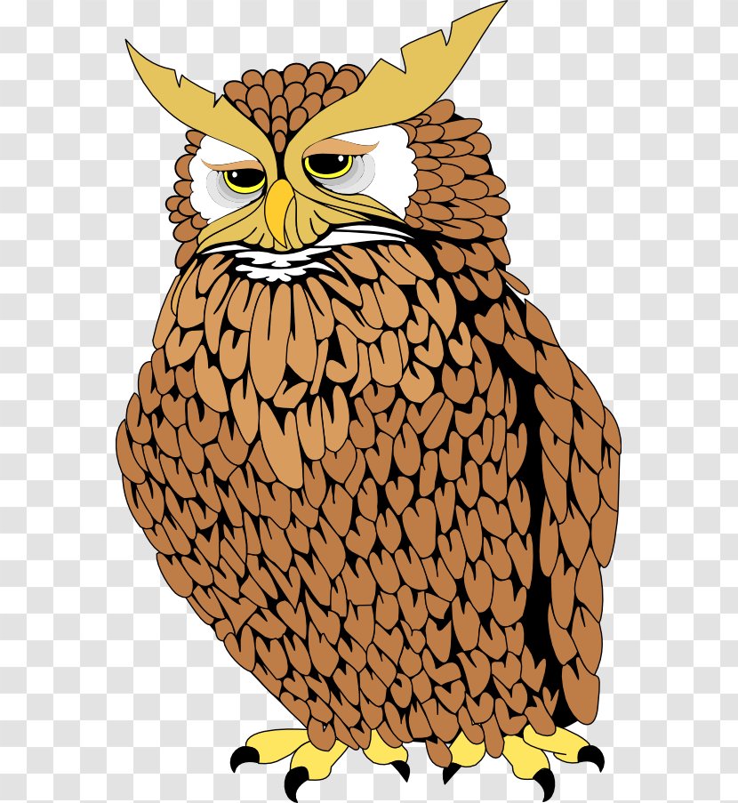 Owl Tecolote Animaatio Clip Art - Cartoon Transparent PNG