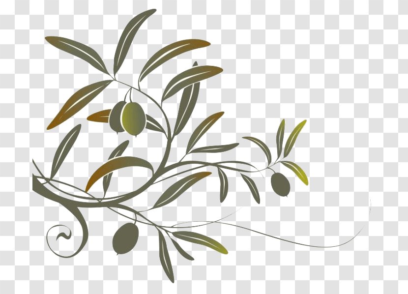 Olive Branch Wall Decal - Flower Transparent PNG