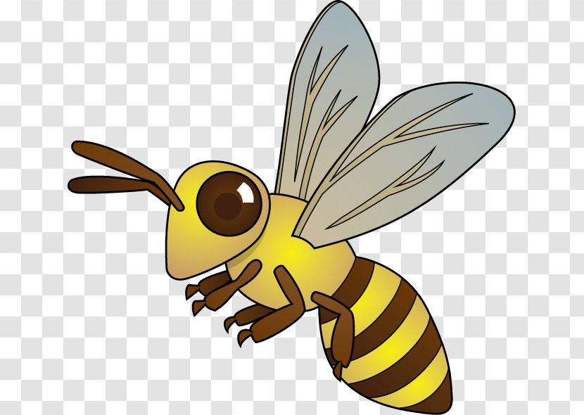 Honey Bee Hornet Insect Clip Art - Wasp Transparent PNG