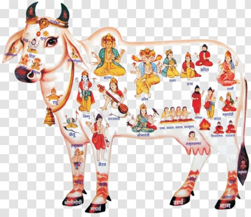 Cattle In Religion And Mythology Krishna Kamadhenu God - Goshala Transparent PNG