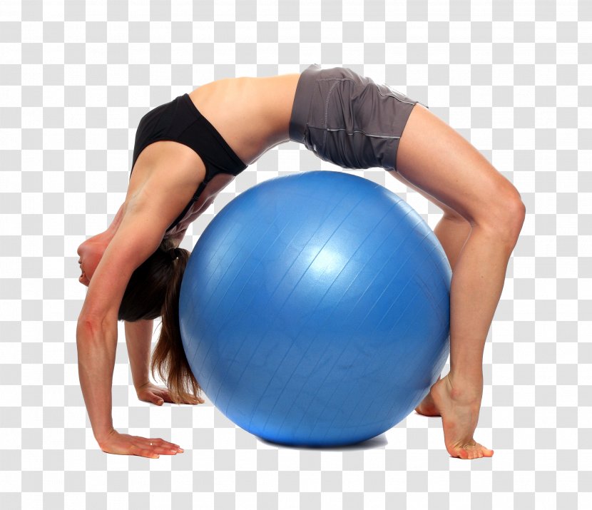 Pilates + Yoga Exercise Balls - Cartoon - Ball Transparent PNG