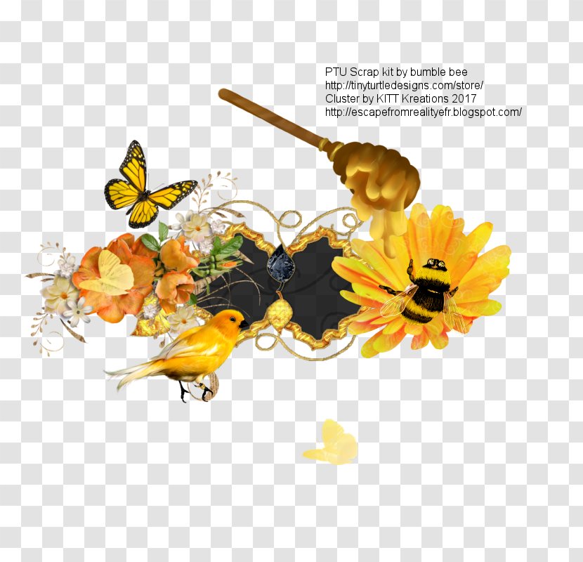 Honey Bee Insect Flower Pollinator - Mother Transparent PNG