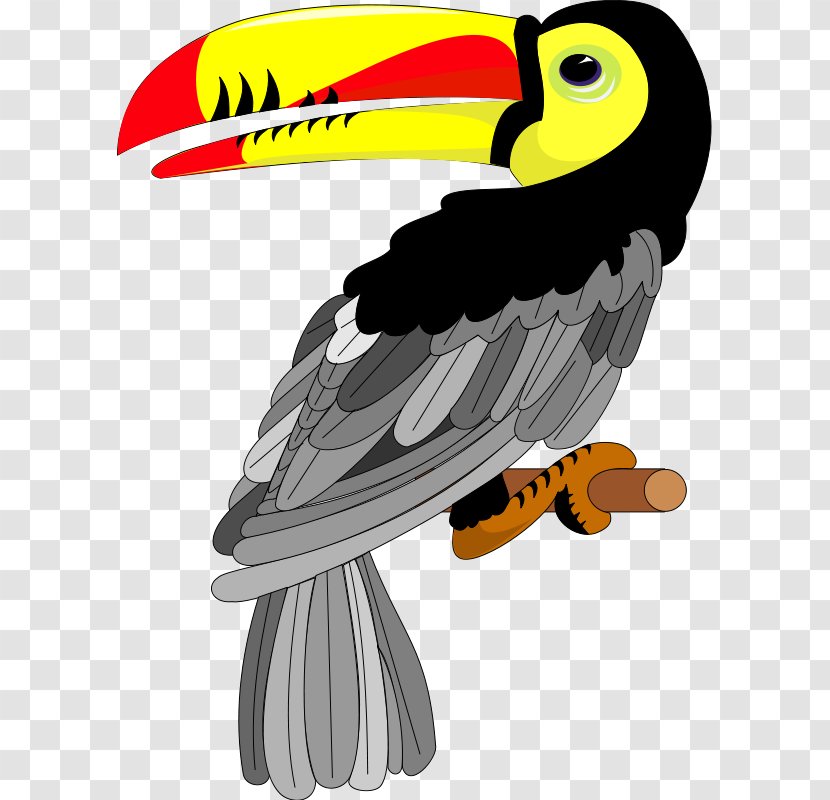 Toco Toucan Bird Clip Art - Royaltyfree Transparent PNG