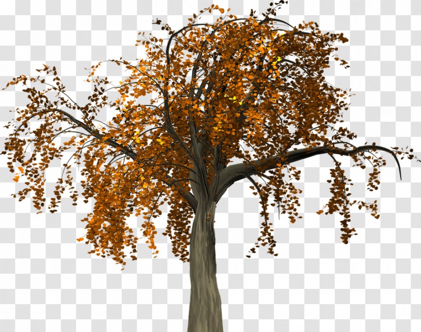 Tree Branch Autumn Clip Art - Twig Transparent PNG
