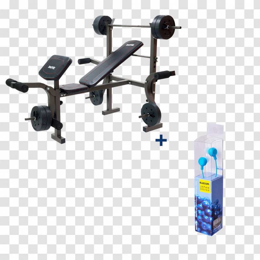 Bench Bank Weight Training Exercise Fitness Centre - Dumbbell Transparent PNG