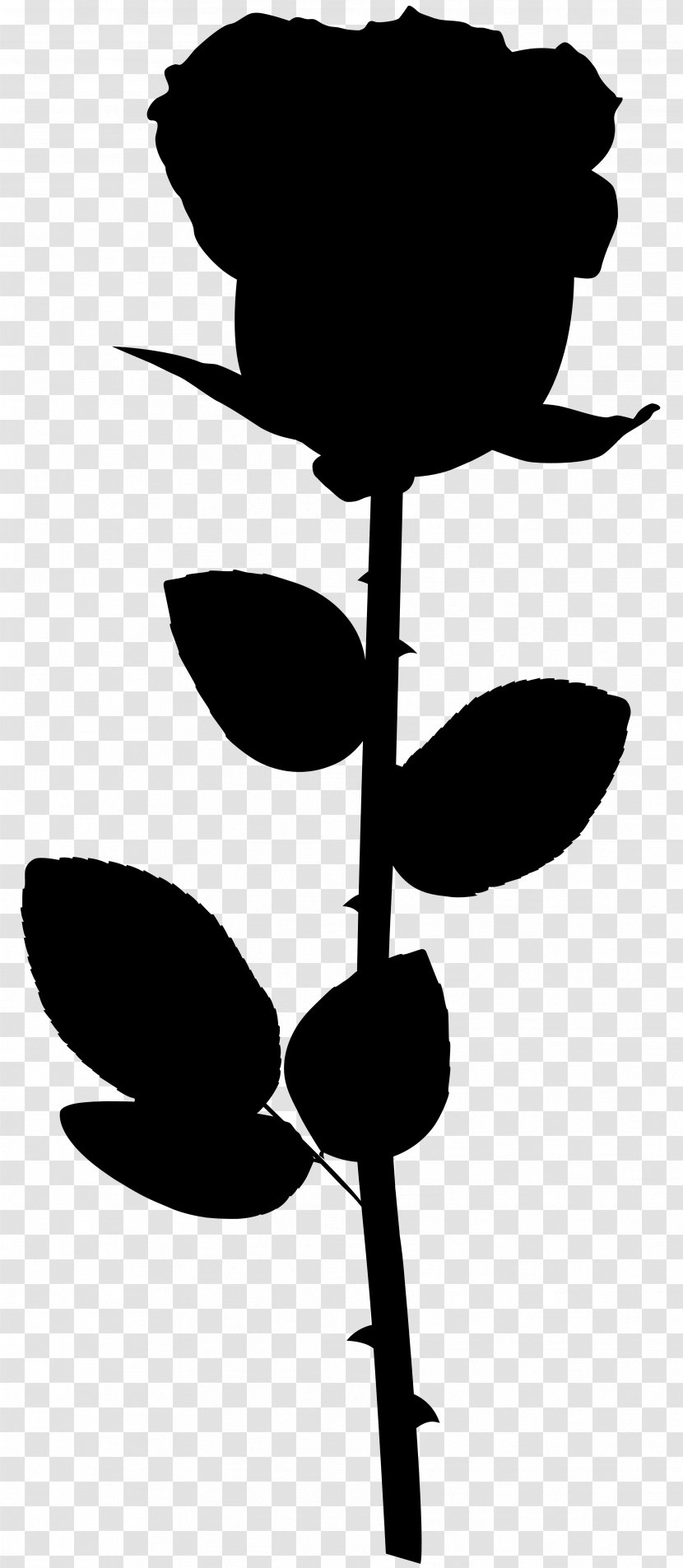 Leaf Clip Art Silhouette Plant Stem Line - Blackandwhite - Botany Transparent PNG