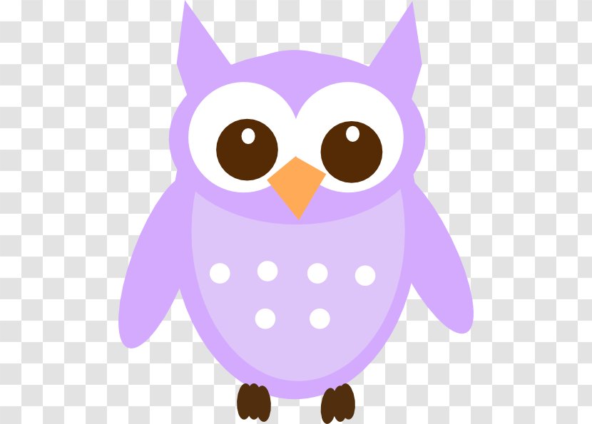 Owl Clip Art - Snout - Baby Transparent PNG