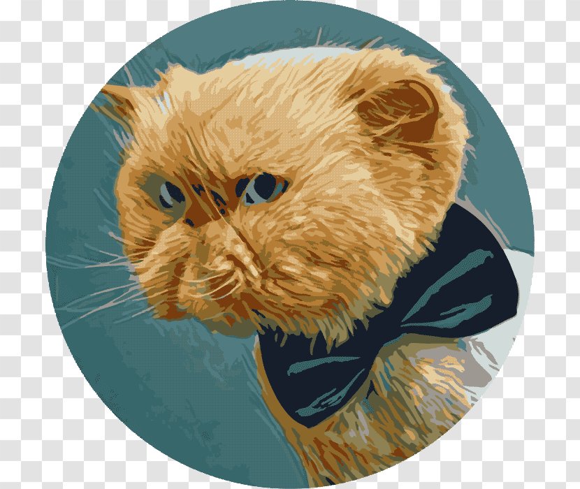 Whiskers Trekhgorka Odintsovo Persian Cat Dog Transparent PNG