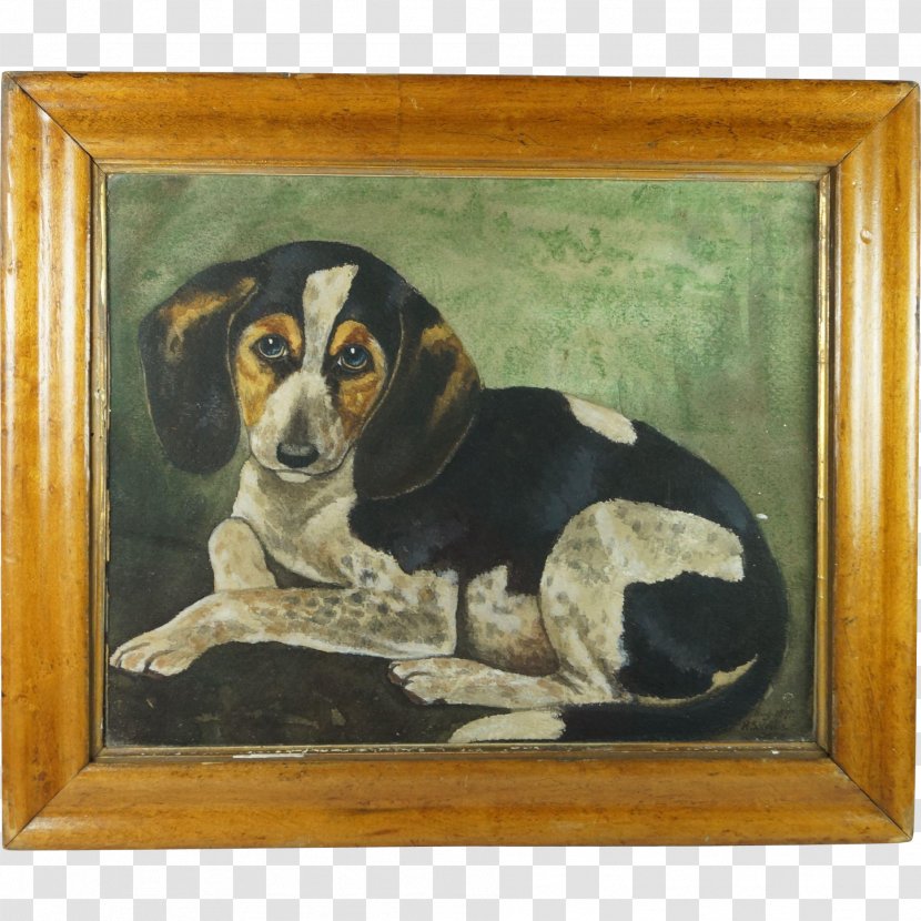 Treeing Walker Coonhound Finnish Hound Beagle Harrier Hamilton - Picture Frames - Painting Transparent PNG