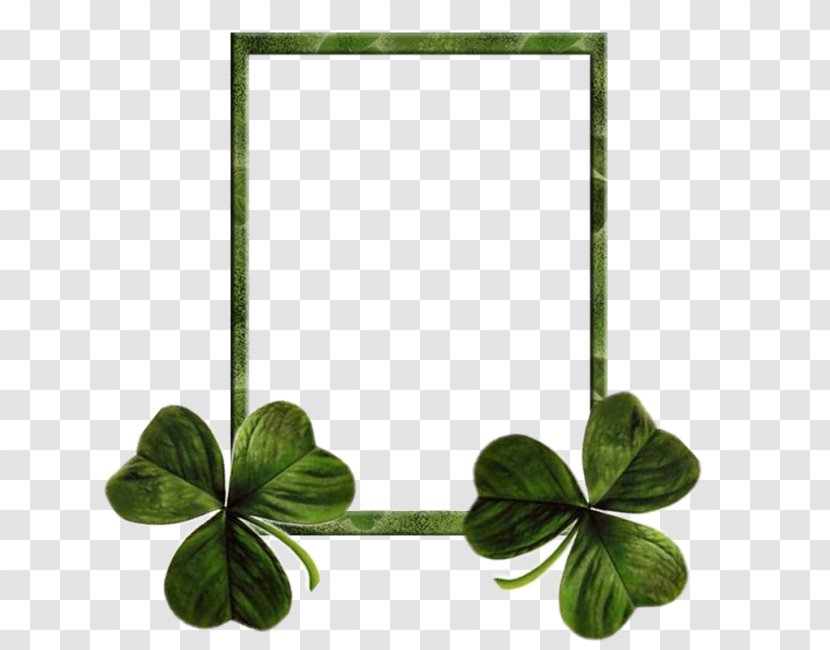 Shamrock Saint Patrick's Day Ireland Irish People - Symbol Transparent PNG