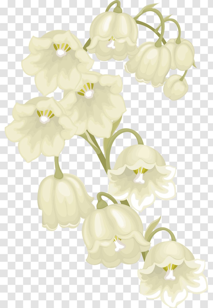 1 May Cut Flowers Plant Stem Lily Of The Valley - Flower Transparent PNG