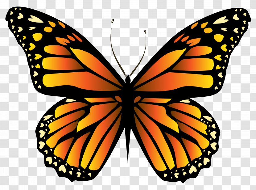 Monarch Butterfly Insect Orange Clip Art - Red - Clipar Transparent PNG