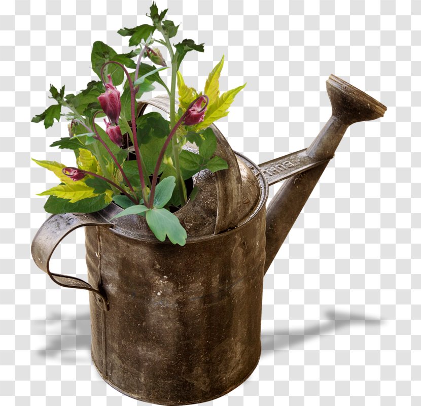 Watering Cans Gardening Flowerpot - Flower - Dubna Transparent PNG