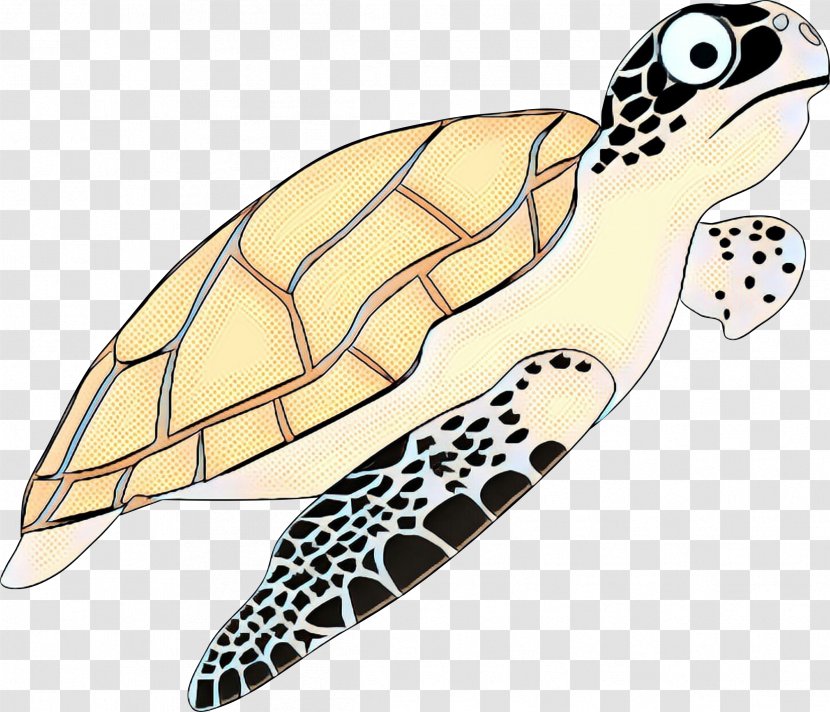 Clip Art Vector Graphics Turtle Drawing - Green Sea Transparent PNG