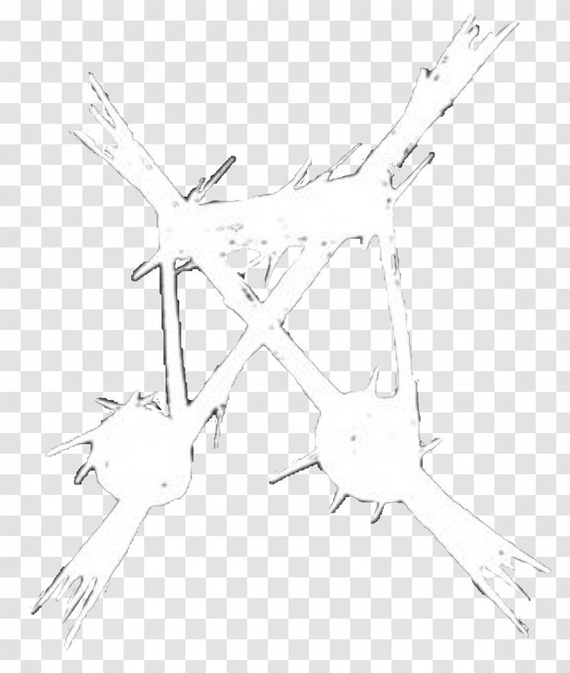 Drawing Line Art Sketch - Wing - Organism Transparent PNG