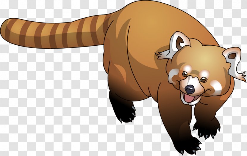 Raccoon Red Panda Bear Cartoon - Tail - Material Transparent PNG