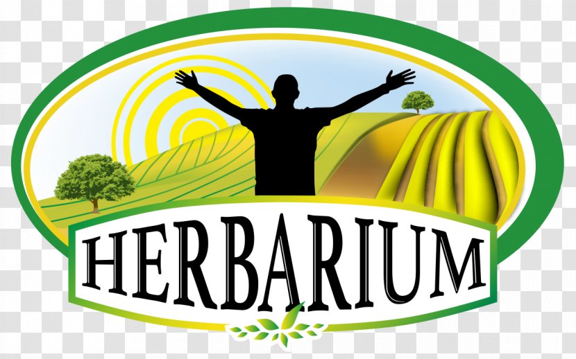 Logo Salve Herbarium Brand - Area Transparent PNG